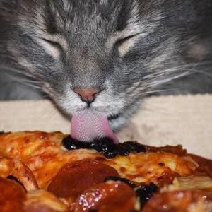 Meet your Posher, Derek